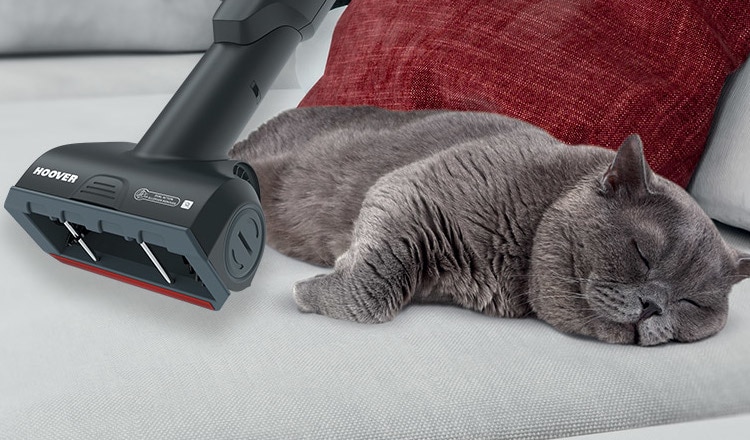 Ηλεκτρική Σκούπα HOOVER HE530ALG 011 700 W με Σακούλα 3.5 lt Πράσινο Ηλεκτρική Σκούπα HOOVER HE530ALG 011 700 W με Σακούλα 3.5 lt Πράσινο