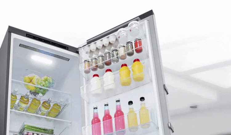 LG Καταψύκτης GFE41PZGSZ & Ψυγείο GLT51PZGSZ Combo Thor Inox