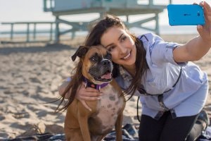 Microsoft Lumia 640 LTE Single Sim