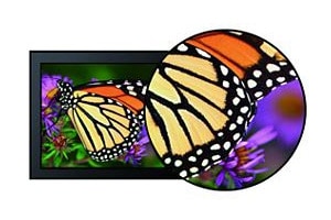 philips-v-line-203v5lsb26