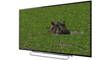 Sony-40W605B